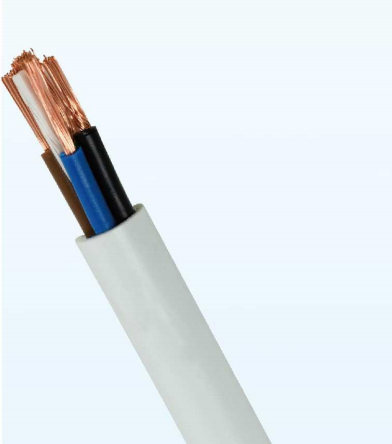 RVV 300/300V